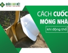 CÁCH CUỐC MÓNG NHÀ ĐỘNG THỔ – RƯỚC LỘC, TRÁNH HỌA